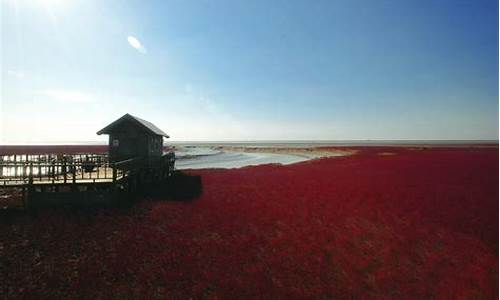 红海滩自驾游路线,红海滩风景区攻略自驾