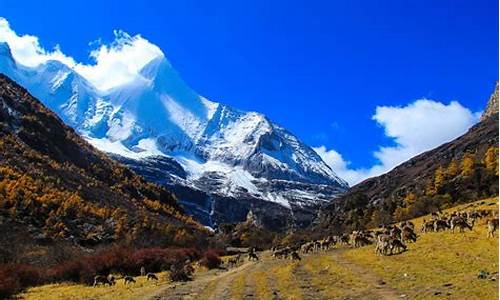 甘孜稻城亚丁旅游攻略,甘孜稻城亚丁景区