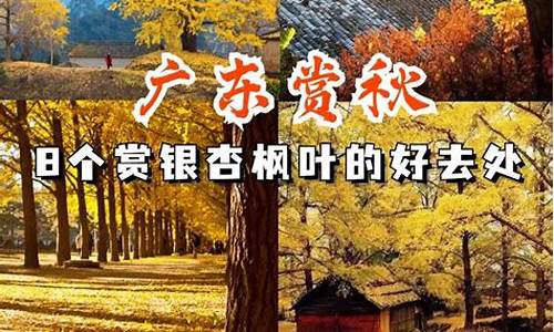 广州帽峰山森林公园怎么去,广州帽峰山坐什么车去