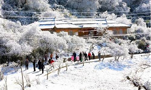 冬季重庆旅游攻略_冬季重庆旅游攻略图片