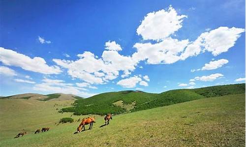 丰宁坝上草原旅游攻略去坝上草原怎么玩,丰宁坝上草原景点门票