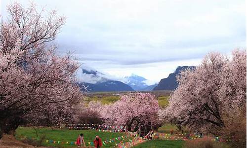 林芝旅游攻略桃,林芝桃花节旅游攻略