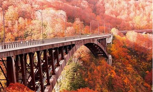 北海道秋季旅游攻略一日游,北海道秋季旅游攻略