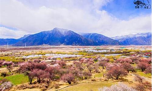 林芝旅游攻略必去景点推荐理由,林芝值得去的景点推荐