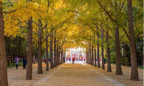 北京地坛公园在哪儿?_北京地坛公园在哪