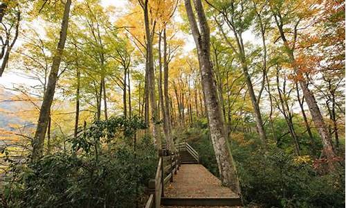 光雾山旅游攻略最新_光雾山旅游攻略自驾游两天