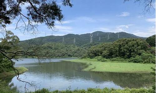 厦门天竺山森林公园简介,厦门市天竺山公园