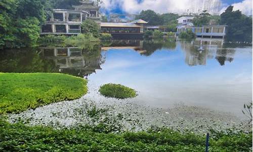 荔湾湖公园在哪个地铁站出口_荔湾湖公园坐几号地铁