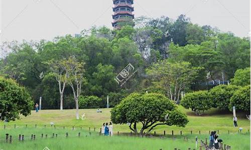 红花山南停车场收费吗_深圳红花山公园停车场收费吗