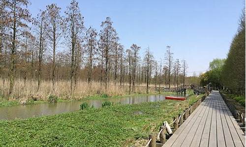 郊野公园森林公园_郊野公园几点闭园