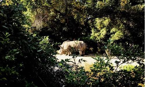 动植物公园在哪_动植物公园攻略