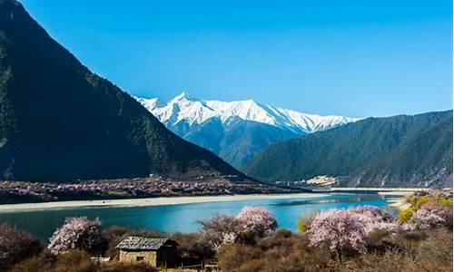 林芝旅游攻略游攻略林芝一日游,林芝旅游攻略四天三夜旅游团