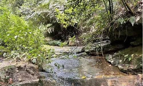 玉峰山森林公园步道,玉峰山森林公园路程