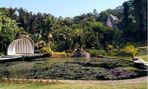 厦门万石植物园的植物及介绍,厦门万石植物园攻略一日游