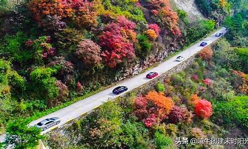 翠华山自驾一日游攻略_翠华山旅游攻略一日游说说