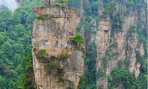 张家界旅游攻略自助游,张家界旅游攻略带孩子自由行路线