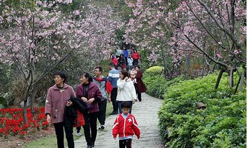 3月厦门旅游攻略,选择买还有优惠!,三月厦门旅游攻略