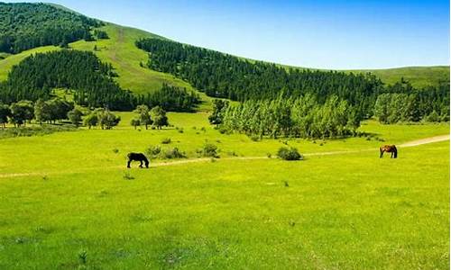 木兰围场旅游景点攻略_木兰围场旅游攻略大全最新版