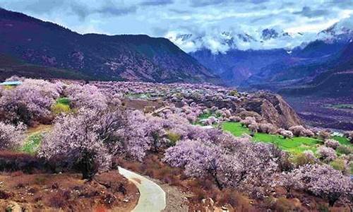 林芝景点推荐 旅游景点排名,林芝景点排行榜前十名