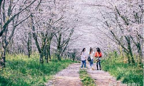 春季旅游攻略景点大全推荐_春季旅游攻略景点大全推荐图