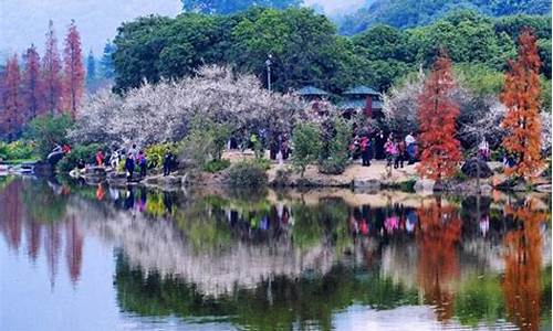 广州春季旅游景点有哪些,广州春季旅游景点