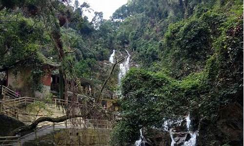 鼎湖山旅游攻略二日游路线,鼎湖山景区自驾旅游攻略