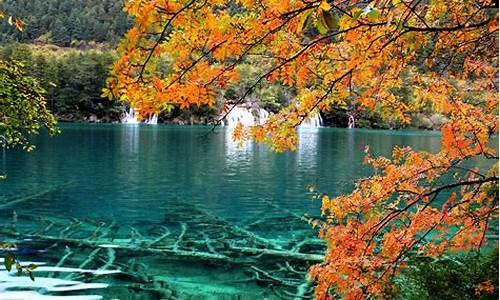 乐山到九寨沟旅游团,九寨沟乐山旅游攻略