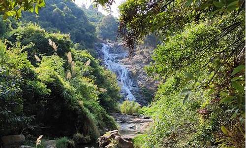 马峦山郊野公园攻略自驾游_马峦山郊野公园攻略自驾