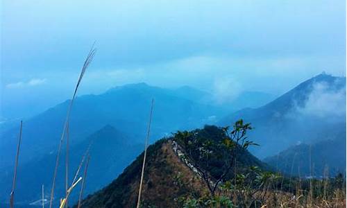 去梧桐山旅游攻略_去梧桐山旅游攻略图