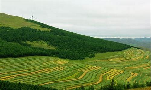 草原天路一日自驾游攻略_草原天路自驾游攻略呼伦贝尔