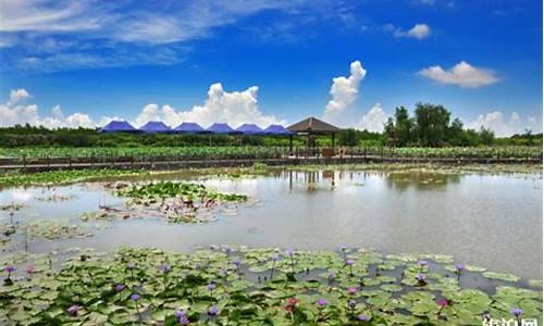 南沙湿地公园租单车_南沙湿地门票