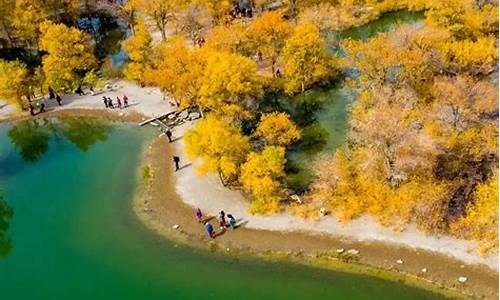 胡杨林景区攻略-胡杨林旅游攻略自驾游