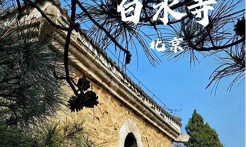 白水寺森林公园旅游攻略-白水寺森林公园在哪