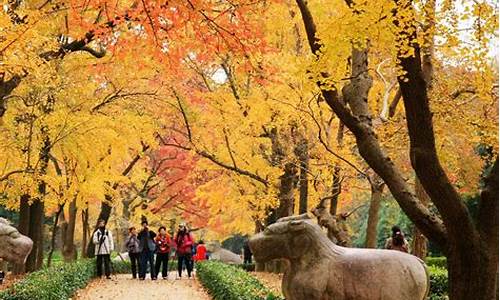 南京秋季旅游攻略二日游-南京秋季旅游攻略两天一夜亲子游