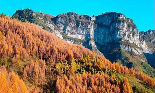 秋季旅游攻略重庆景点推荐-重庆市区秋季旅游景点大全