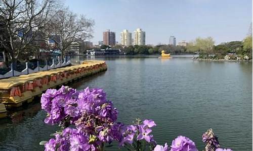 上海长风公园景点介绍图,上海长风公园景点