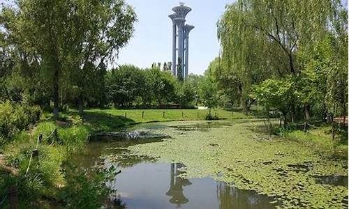 北京奥林匹克森林公园需要门票吗,北京奥林匹克森林公园需要预约吗